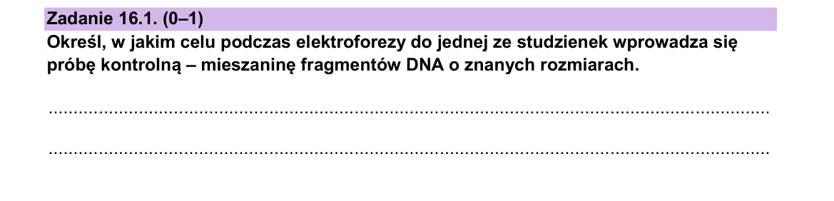 Zadanie 16.1; strona PDF 20