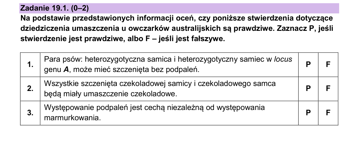 Zadanie 19.1; strona PDF 25