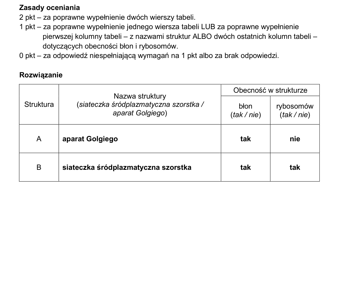 Klucz i zasady oceniania CKE; strona PDF 5