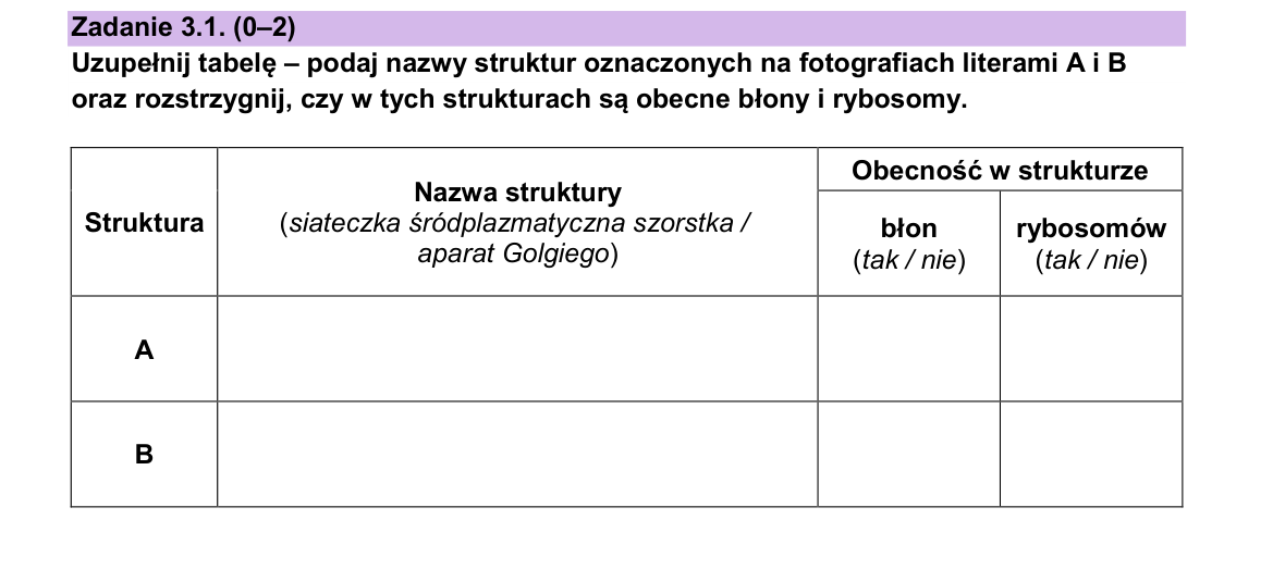 Zadanie 3.1; strona PDF 5