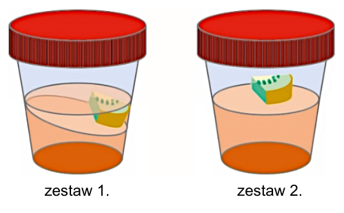 Dwa zamknięte pojemniki z cieczą i fragmentem kiwi: w zestawie 1 owoc jest zanurzony, w zestawie 2 znajduje się wyżej, nad powierzchnią cieczy.