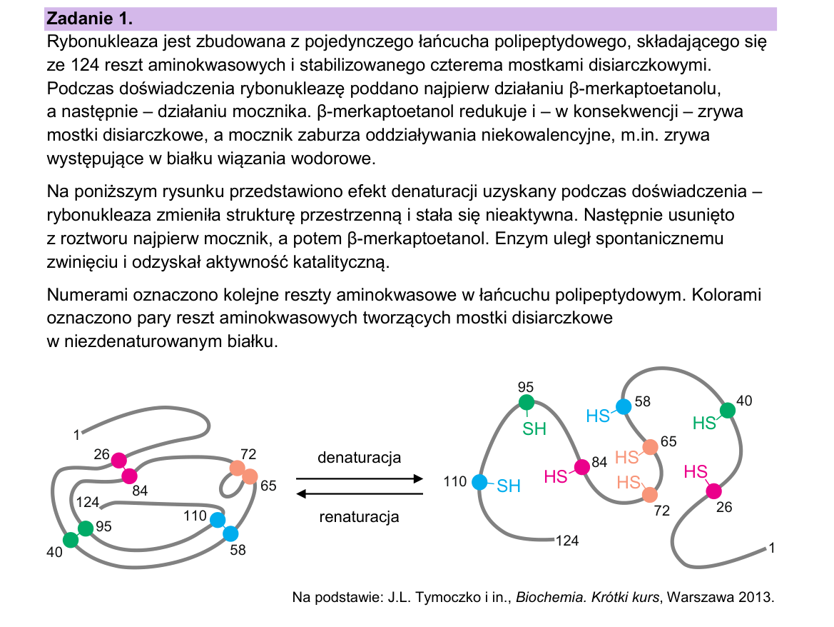 Materiał do zadania 1; strona PDF 3