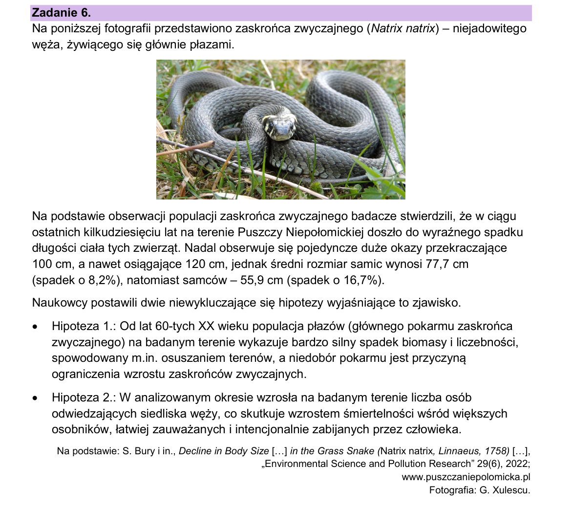 Materiał do zadania 6; strona PDF 10