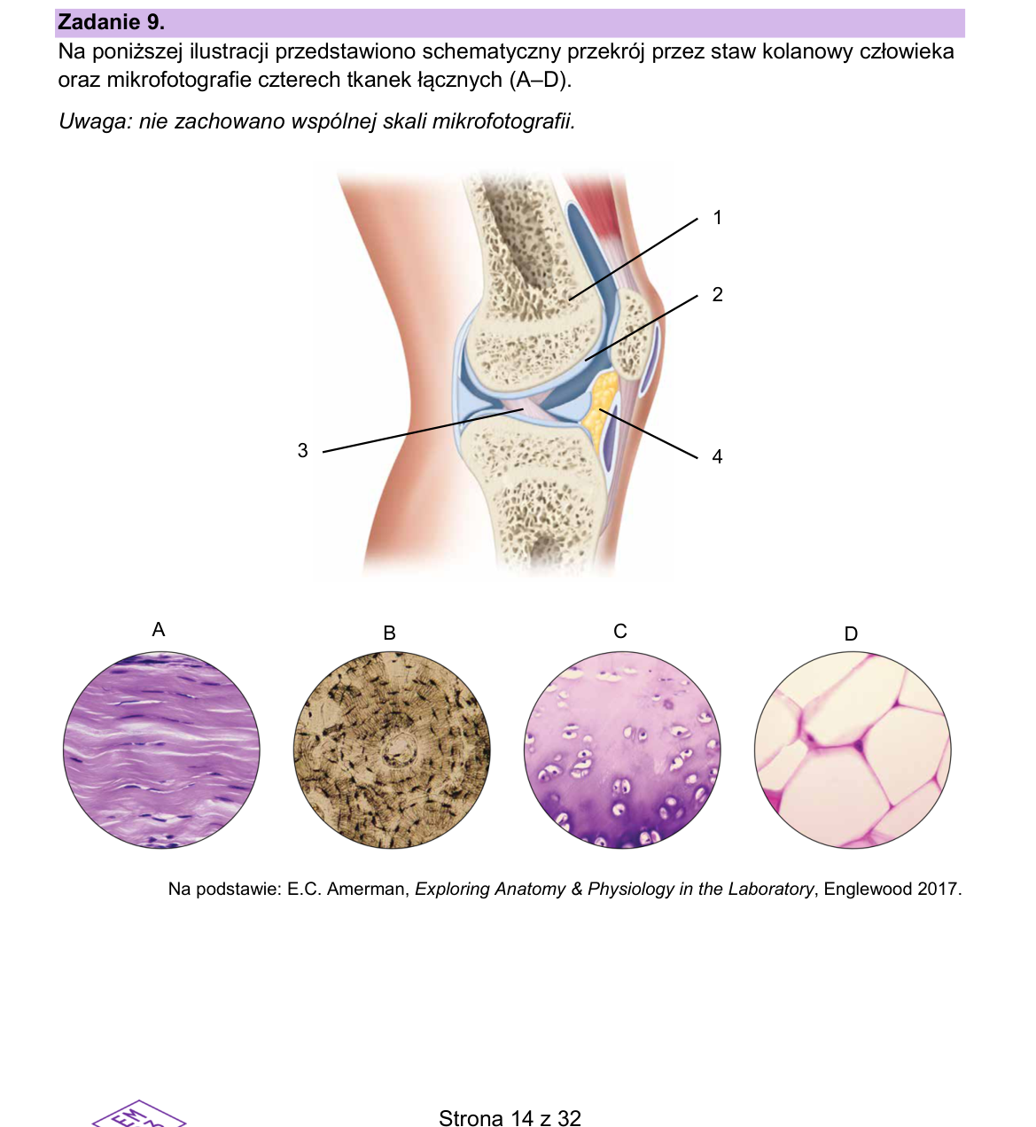 Materiał do zadania 9; strona PDF 14