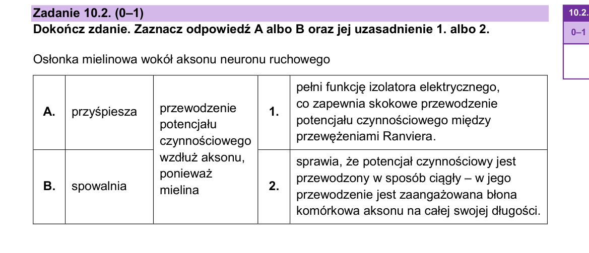 Zadanie 10.2; strona PDF 17