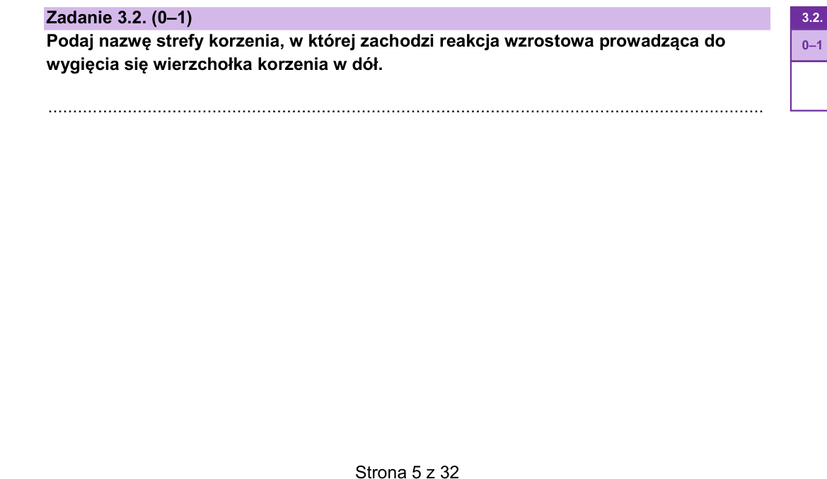 Zadanie 3.2; strona PDF 5