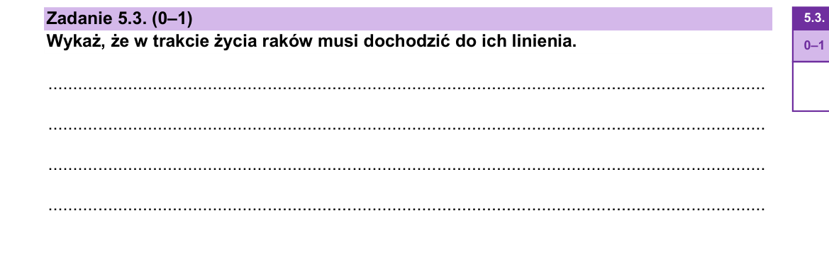 Zadanie 5.3; strona PDF 9