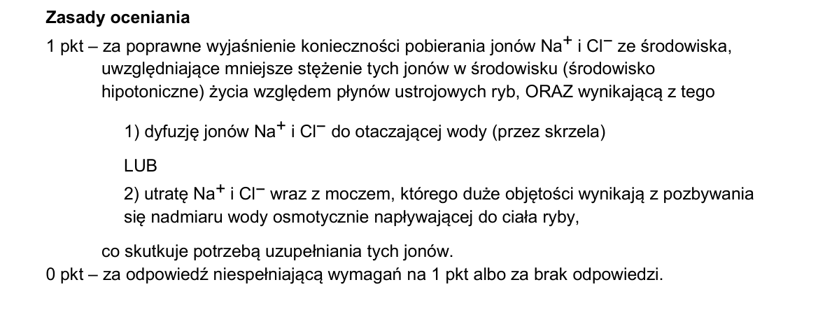 Klucz i zasady oceniania CKE; strona PDF 14