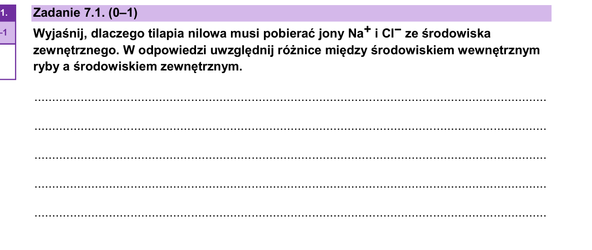 Zadanie 7.1; strona PDF 12