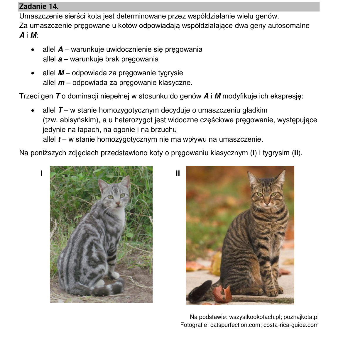 Materiał do zadania 14; strona PDF 28