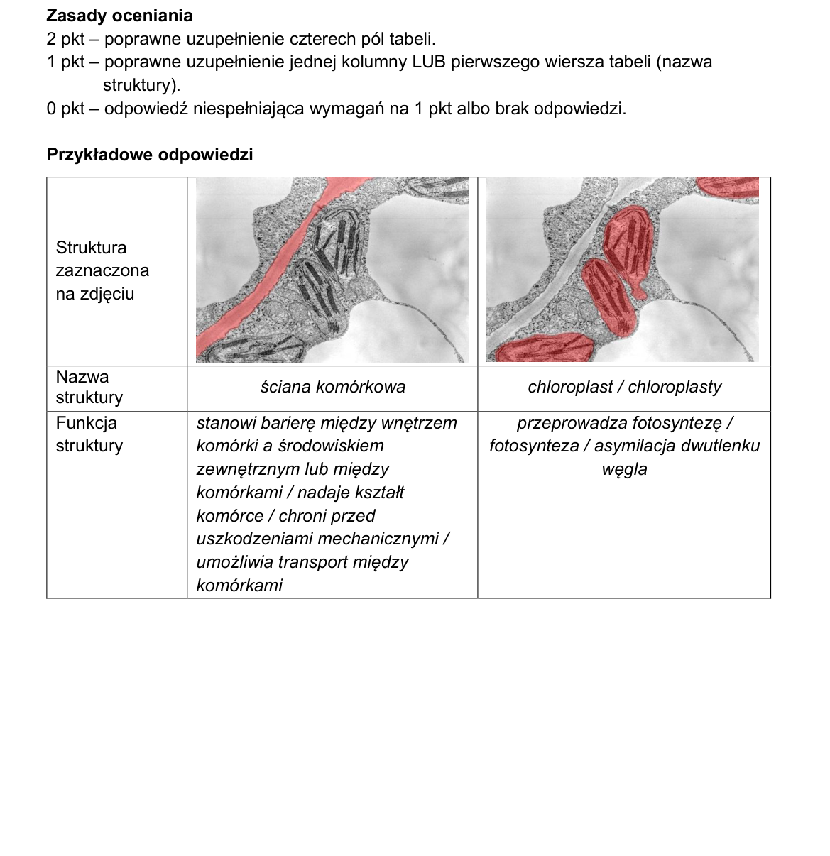 Klucz i zasady oceniania CKE; strona PDF 5