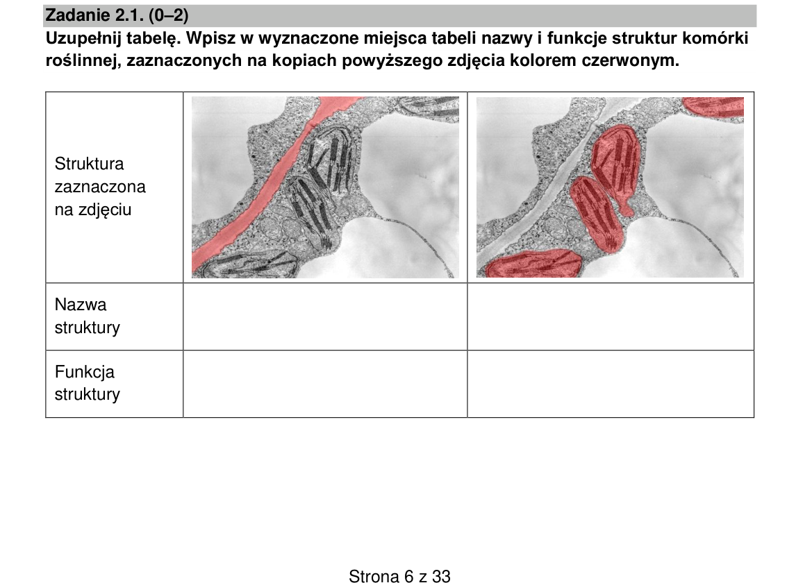 Zadanie 2.1; strona PDF 6
