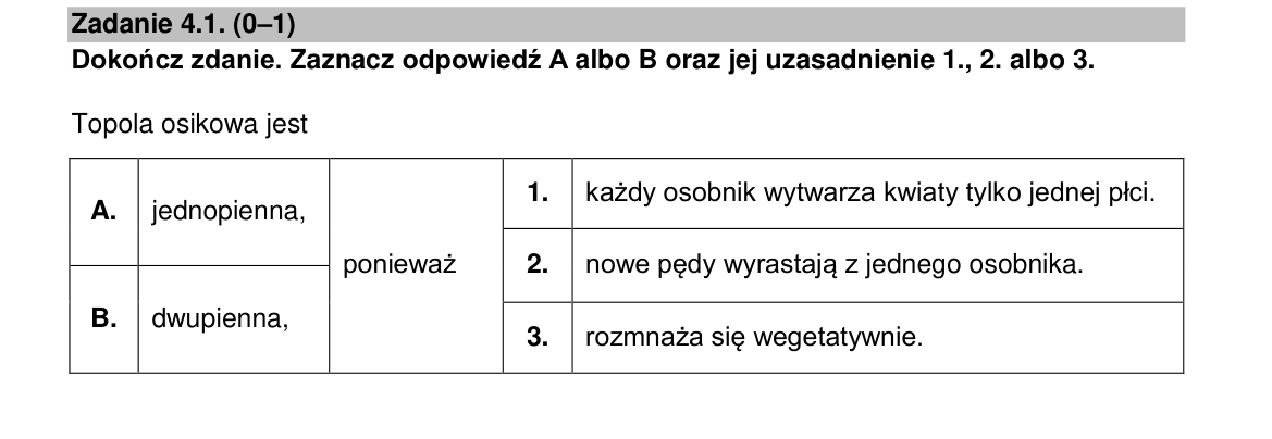Zadanie 4.1; strona PDF 11