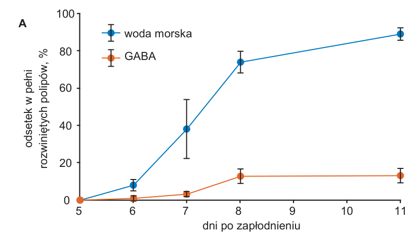 Ilustracja do materiału źródłowego