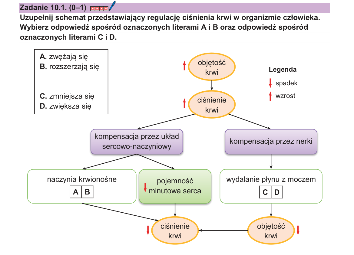 Zadanie 10.1; strona PDF 22