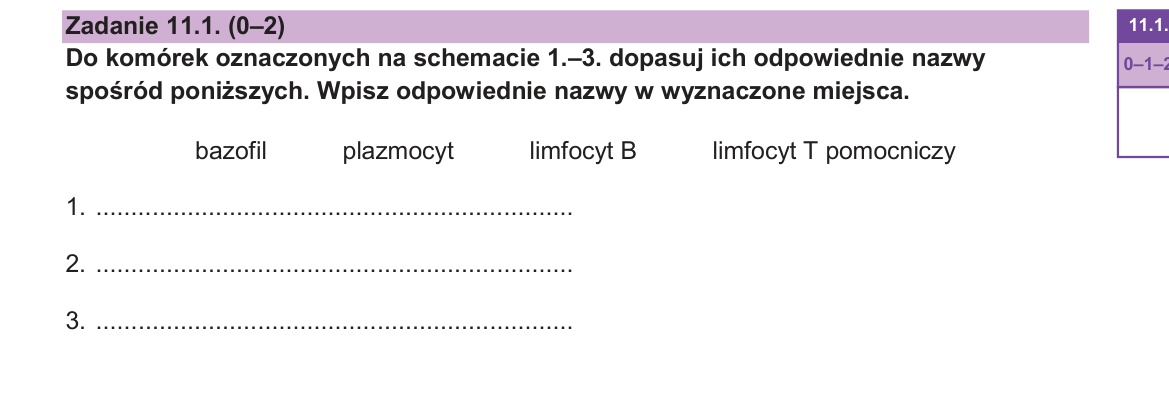 Zadanie 11.1; strona PDF 23