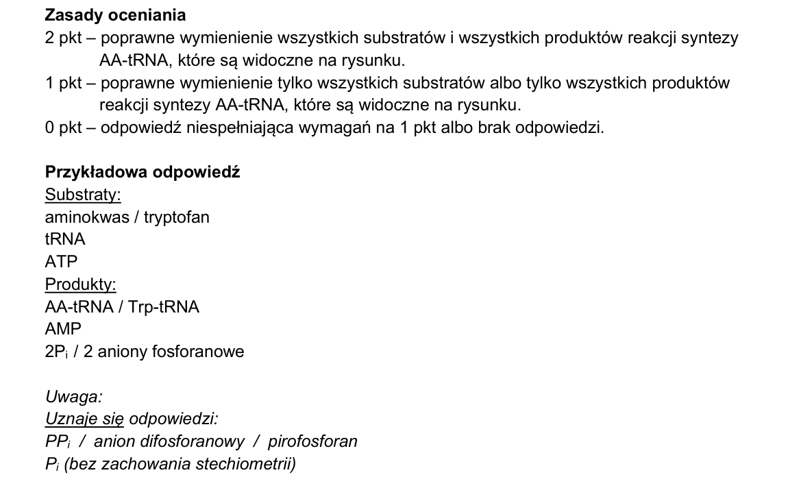Klucz i zasady oceniania CKE; strona PDF 26