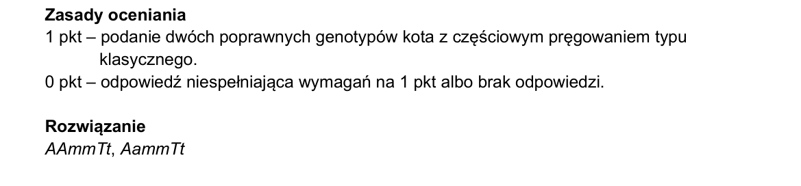 Klucz i zasady oceniania CKE; strona PDF 28
