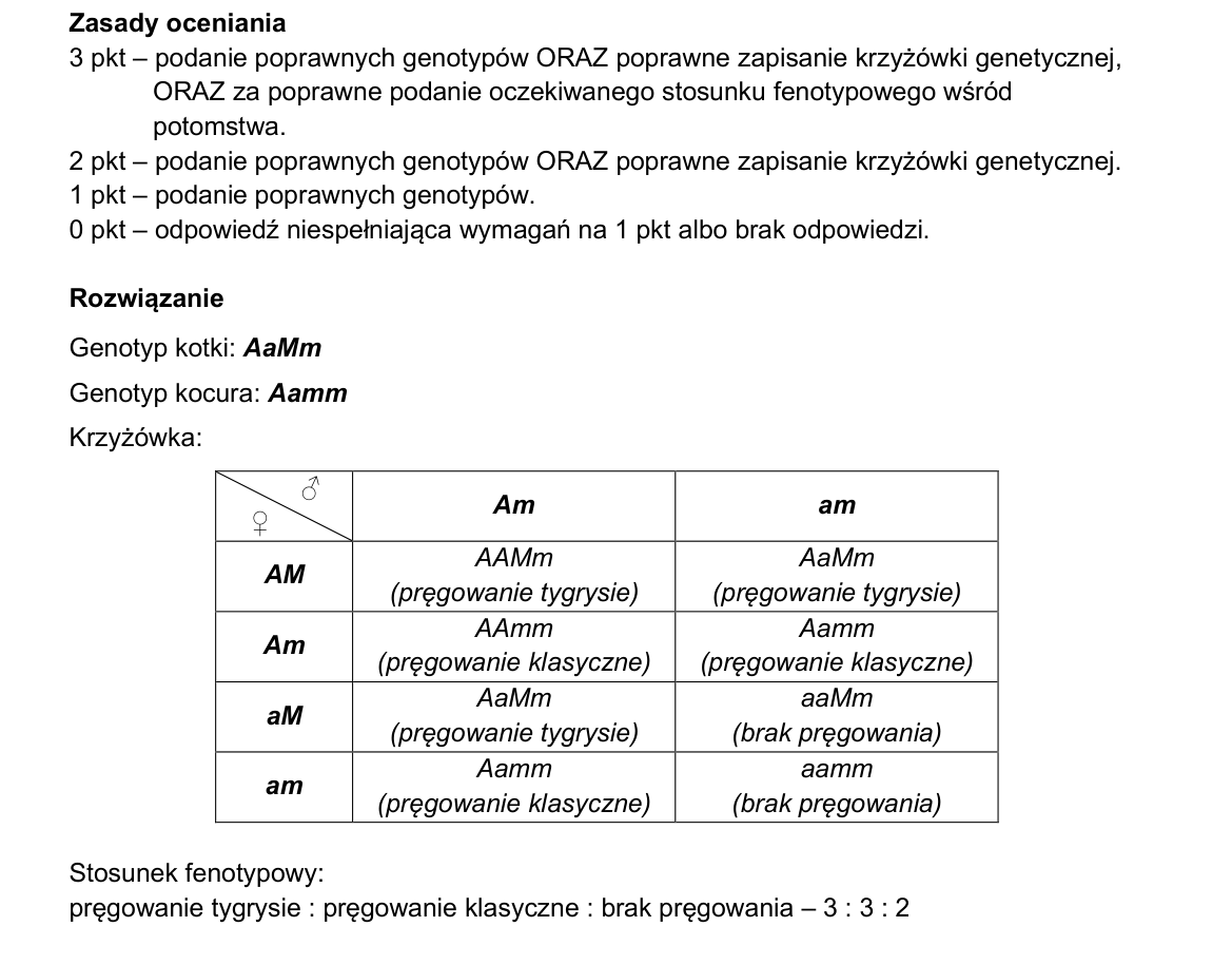 Klucz i zasady oceniania CKE; strona PDF 29