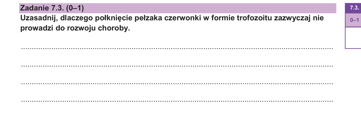 Zadanie 7.3; strona PDF 17