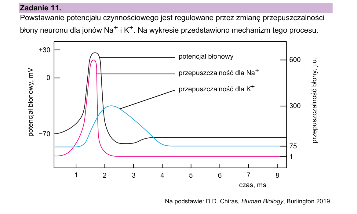Materiał do zadania 11; strona PDF 15