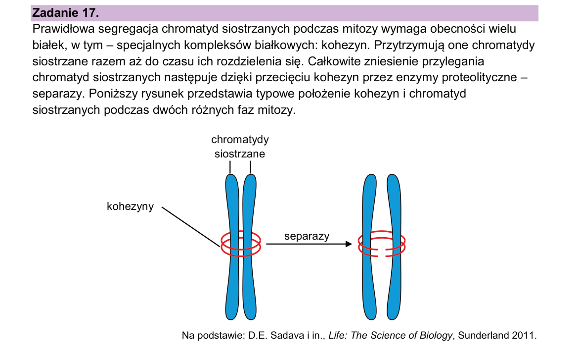 Materiał do zadania 17; strona PDF 24
