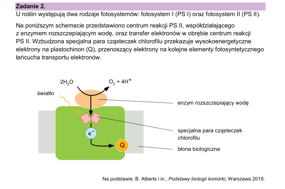 Materiał do zadania 2; strona PDF 4