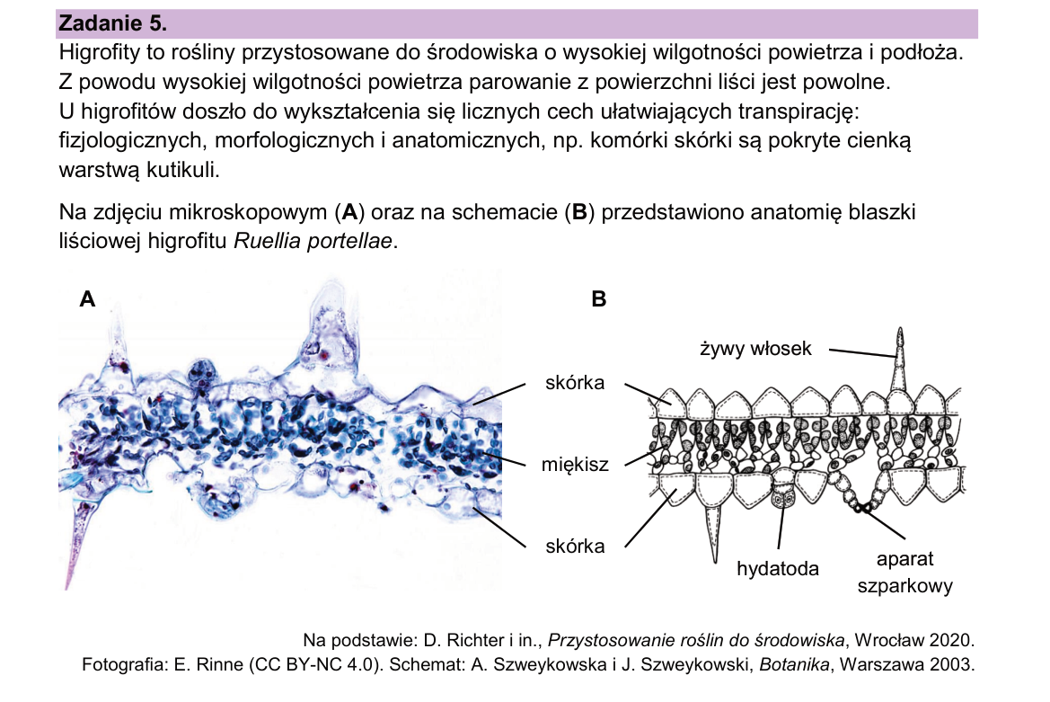 Materiał do zadania 5; strona PDF 9