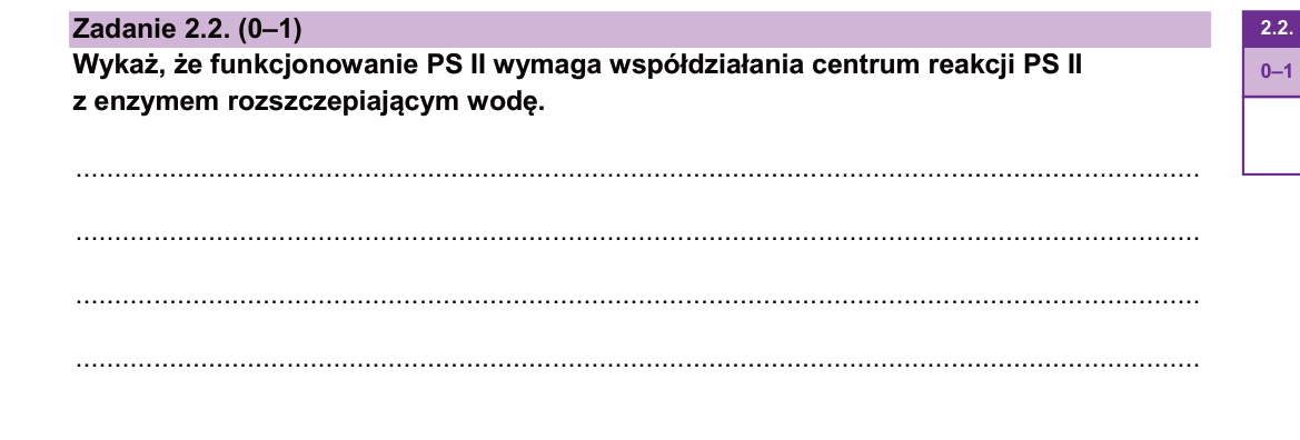 Zadanie 2.2; strona PDF 5